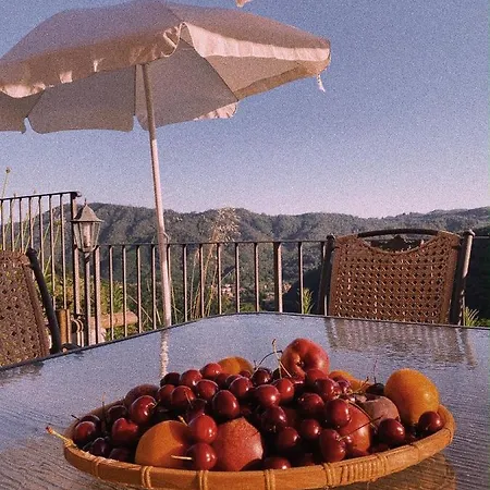 La Pianella Villa Lucca